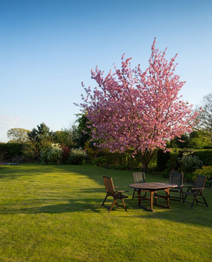 lawn-01 Lawn 01