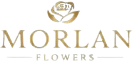 morlanflowers.com