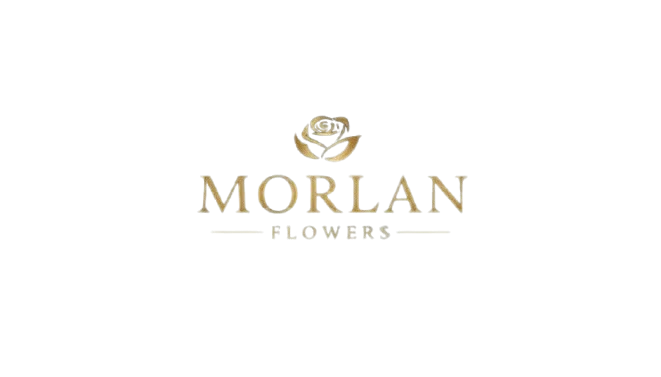 morlanflowers.com