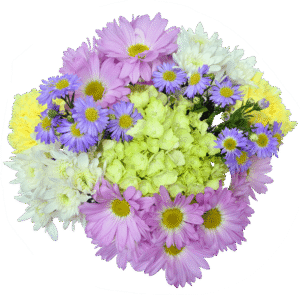 Home Flowers