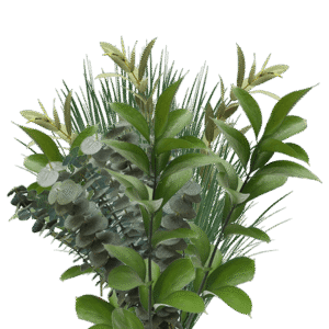 Home fresh greenery and foliage