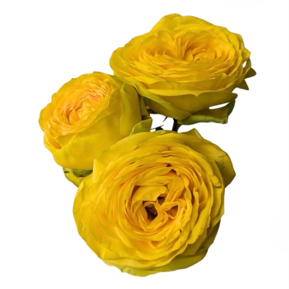 3d72478e bef5 4b4f 97ac 83a5fb89e43e