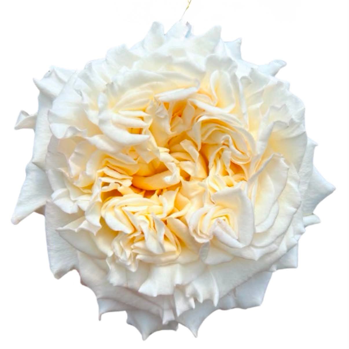 ff84f6b4 1b17 4faf bbeb 3f0c2cc660c7